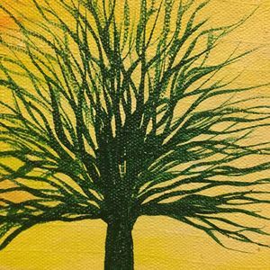 Meet your Posher, Bryce